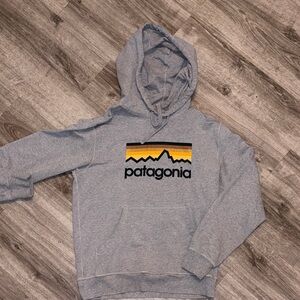 Patagonia Gray Hooded Sweatshirt with Yellow Mountain Stripe Logo